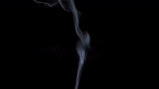 Music Video Fire GIF by Ultra Records