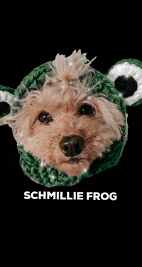schmilliepoo schmilliepoo schmillie shmillie frog dog GIF