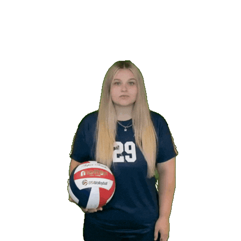 Womens Volleyball Sticker by Clarke University