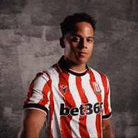 Manhoef GIF by stokecity