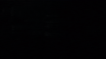 Football Sport GIF by Indianapolis Colts