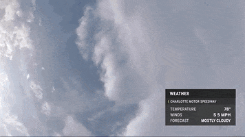 Racing Charlotte GIF by NASCAR