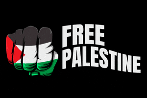 Freedom Palestine GIF