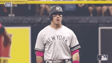Excited Lets Go GIF by New York Yankees
