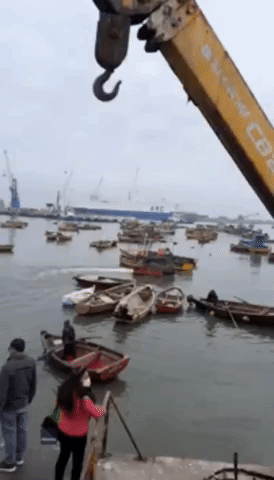 Crowds Gather to Watch Crane Reel in Huge Oarfish at Chilean Port