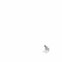 Black And White Art GIF by Alastair Gray