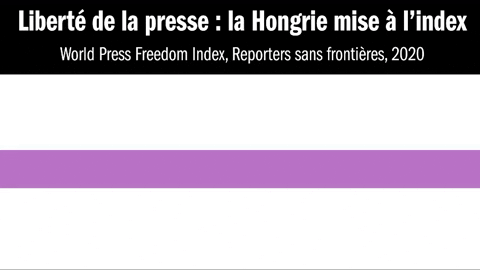 ri_rf giphyupload GIF