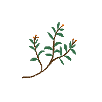 Flower Sticker by hahaha-design