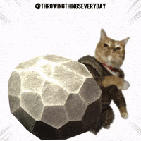 Skyrim GIF