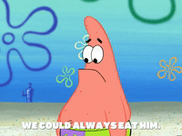 season 4 GIF by SpongeBob SquarePants