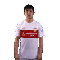 Oh No Facepalm Sticker by VfB Stuttgart