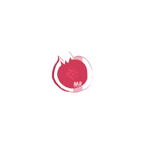 BirGunKadin giphyupload nar narkadin narkadindayanismasi Sticker
