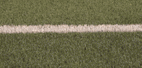 Womens Lacrosse GIF by Lafayette Leopards
