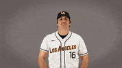 Cal State La Baseball GIF by Cal State LA Golden Eagles