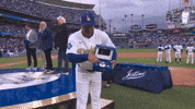 Los Angeles Dodgers Sport GIF by MLB