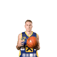 Bsl Sticker by Basketball Superliga