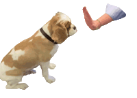 Dog Hund Sticker by Klink Mönsheim