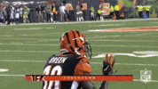 2018 Nfl Football GIF by NFL