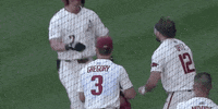 North Carolina Baseball GIF by NCAA Championships