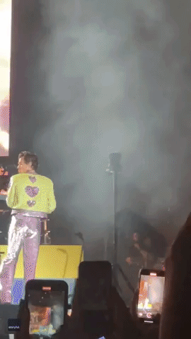 Harry Styles Fan Invades Stage During Concert in Brazil