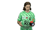Handball-Bundesliga Stop Sticker by LIQUI MOLY HBL