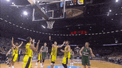 lets go yes GIF by EuroLeague