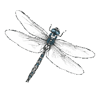 Illustration Sticker Sticker by Studio Ultradeluxe