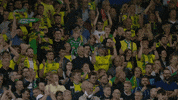 Norwich City Sport GIF by Norwich City Football Club