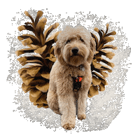 Puppy Logan Sticker