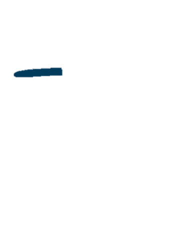 Blue Line Sticker