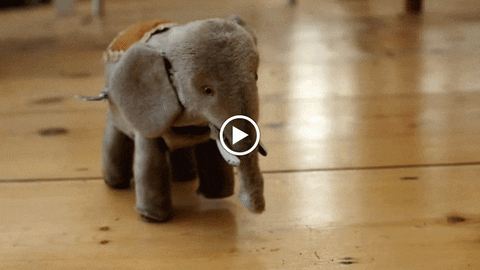 elephant GIF