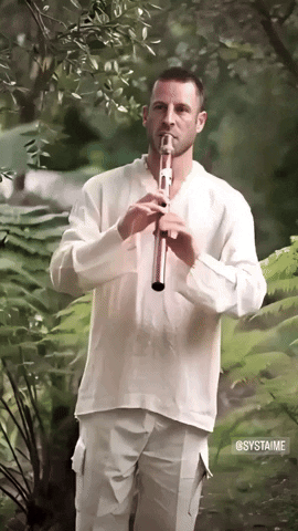 Flute Macron GIF by systaime
