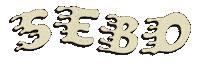 Sebovm Sticker by SEBO Video Magazine