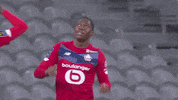 Football Soccer GIF by Ligue 1