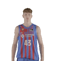 Fc Barcelona Basketball Sticker by ACB