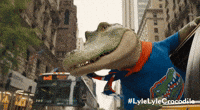 College Croc