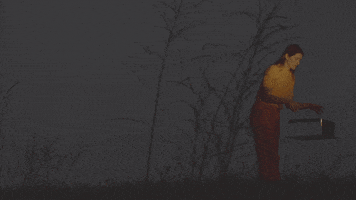 Sub Pop Water GIF by Sub Pop Records