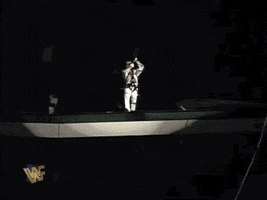 shawn michaels wrestling GIF by WWE