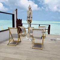 Bora Bora Beach GIF by NZ Collab