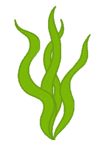 Algae Sticker by humnutrition
