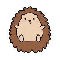 Happy Hedgehog Sticker