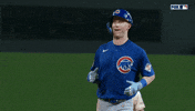 Happy Chicago Cubs GIF