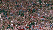 Celebrate World Cup GIF by FIFA