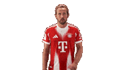 Fc Bayern Football Sticker by Bundesliga