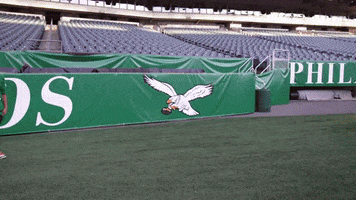 Philadelphia Eagles GIF by Believeinyourgoals