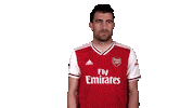 arsenal football soccer come on greece Sticker