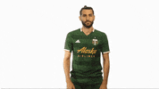 Portland Timbers Valeri GIF by Timbers
