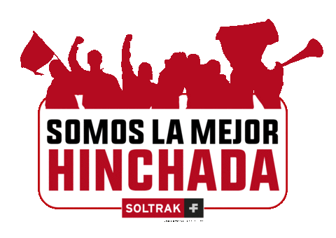 Prueba2 Sticker by Soltrak