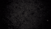 Major League Baseball GIF by Fresno Grizzlies
