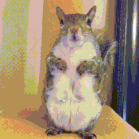 belly touching GIF
